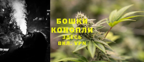 Альфа ПВП Нягань