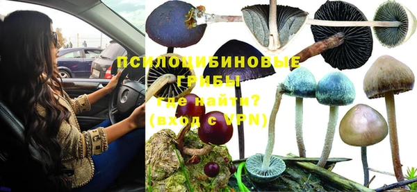 Альфа ПВП Балахна