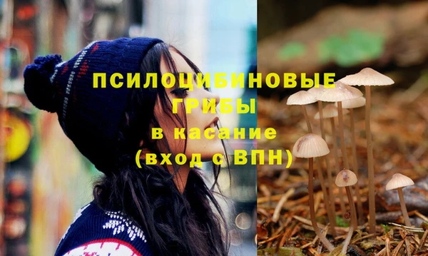 стафф Нязепетровск
