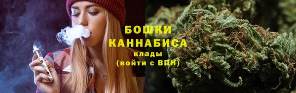 Альфа ПВП Нягань
