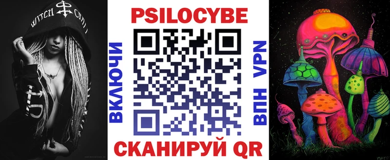 darknet какой сайт  Буй  Галлюциногенные грибы Psilocybe 